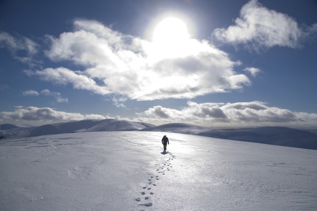 ShAFFSingleShot_Richard Newton