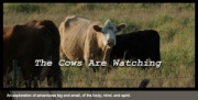 thecowsarewatchinglogo