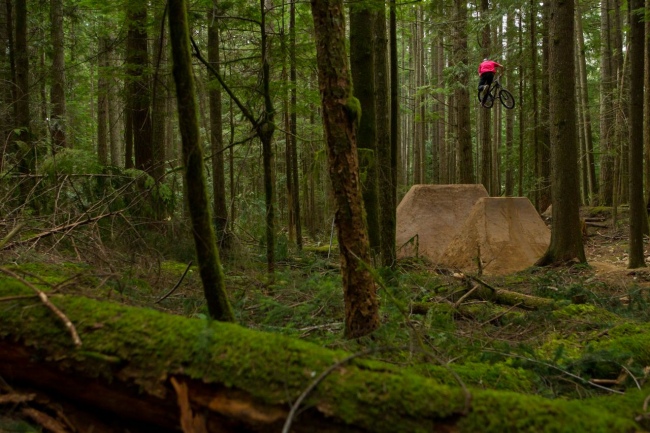 Arrival harookz 6814