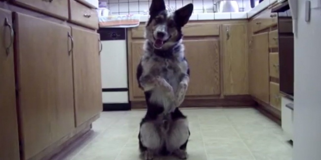 JustJumpyScreenShot1