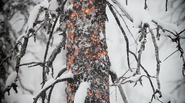 TheBurn Screengrab creditSwitchback 2 3 c
