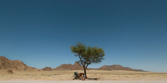 ThePenguinRunnerCreditRhysMorganImages650 325a