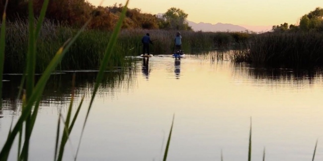 Delta Dawn screengrab 650 325 3