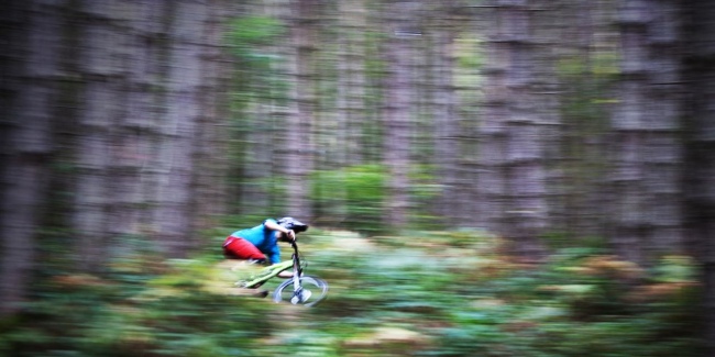 FORGED promo photo, Wharncliffe Woods, Tom Richards 650 325 1