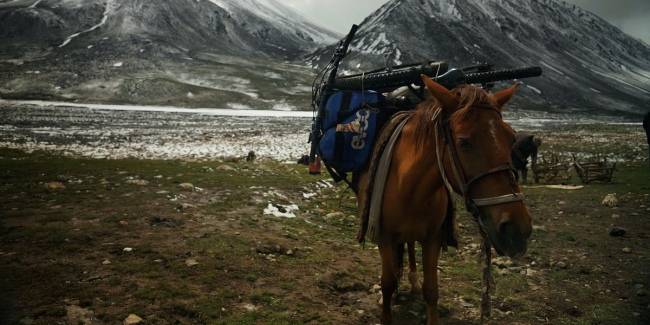 Forgotten Dirt HORSE 650 325