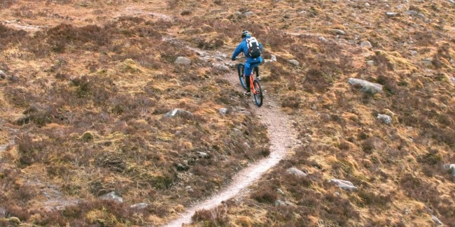 Santa cruz 650 325 1