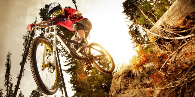 Signatures 2 650 325