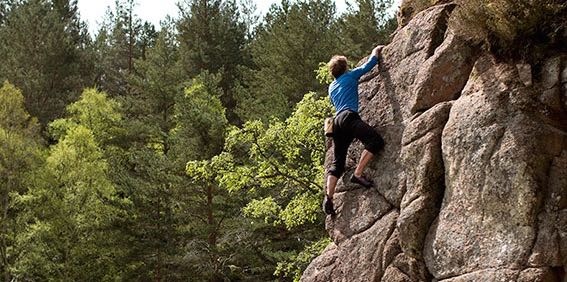 Stone Free 650 325 1