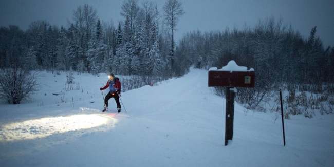 Among the Wild 650 325 - Mark on Trail
